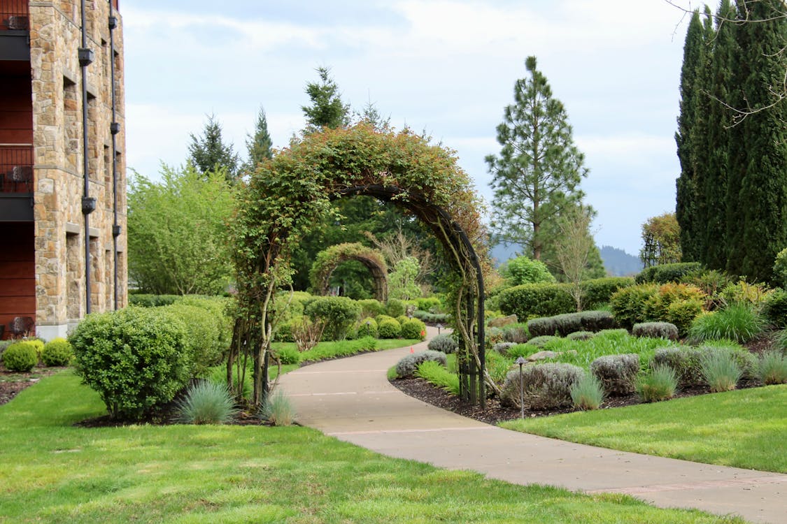 Allée de jardin avec arche végétale