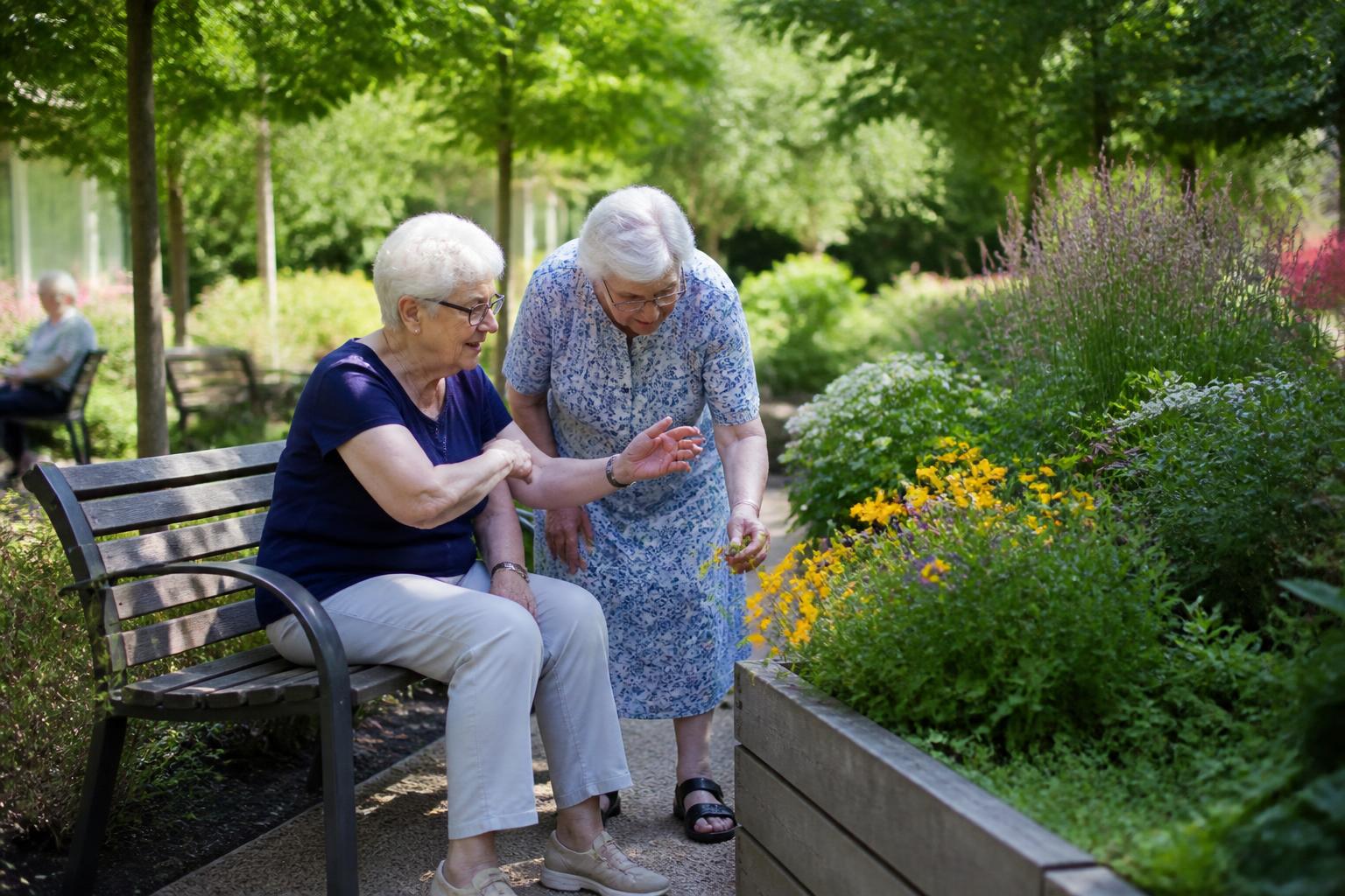 découvrez comment créer un jardin thérapeutique en ehpad avec des exemples concrets et des conseils pratiques pour améliorer le bien-être des résidents.
